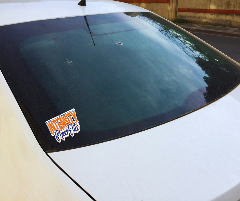 ICE Car Decal