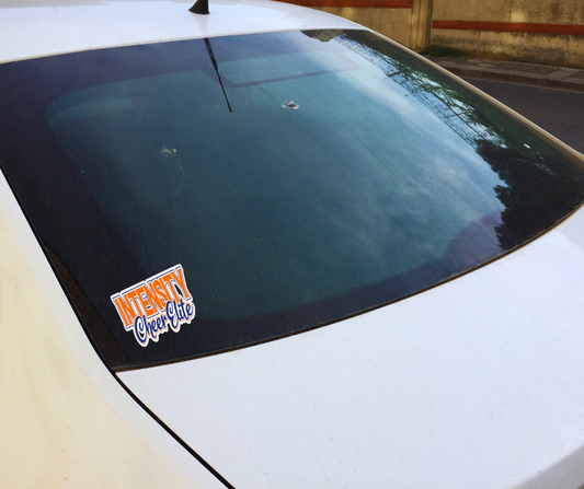 ICE Car Decal