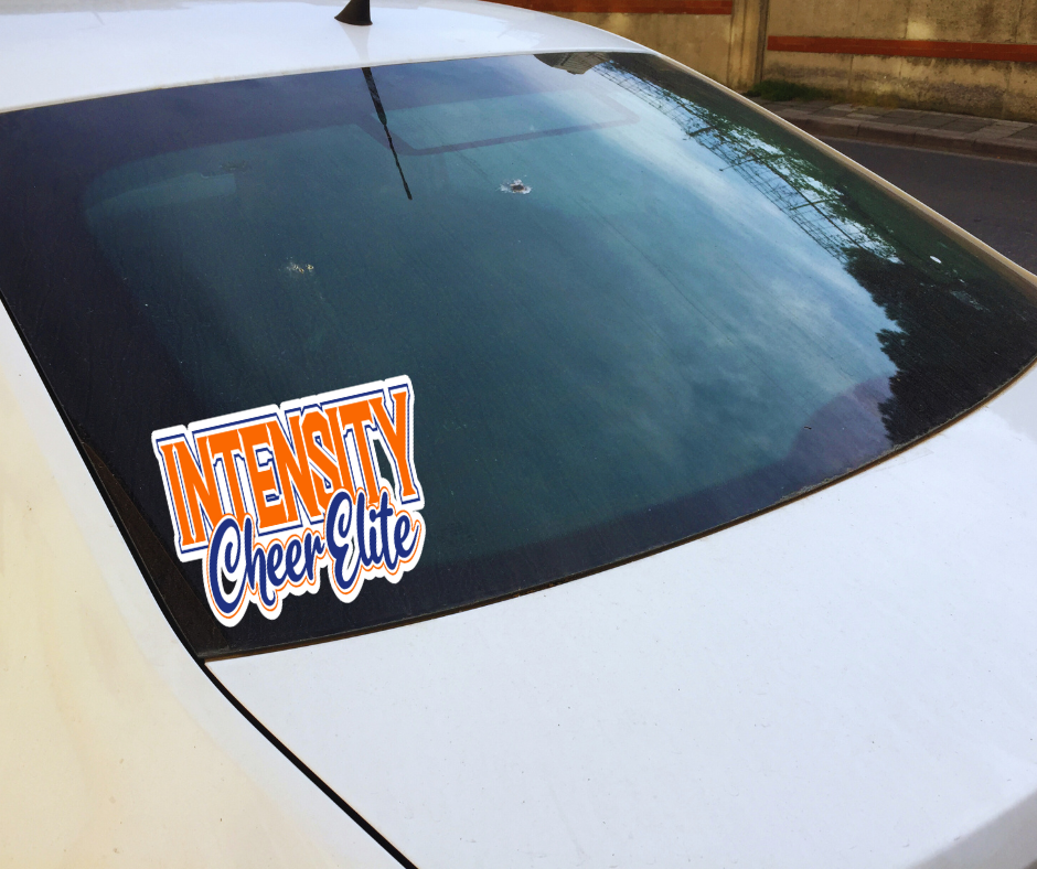 ICE Car Decal